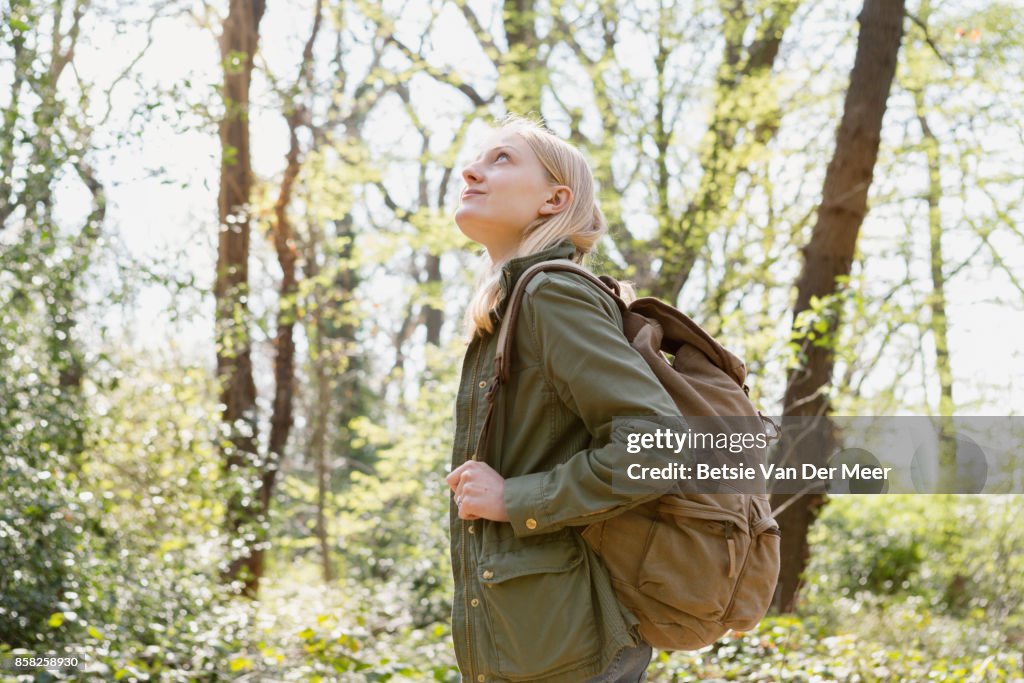 Female backpacker looks up at trees in forest.