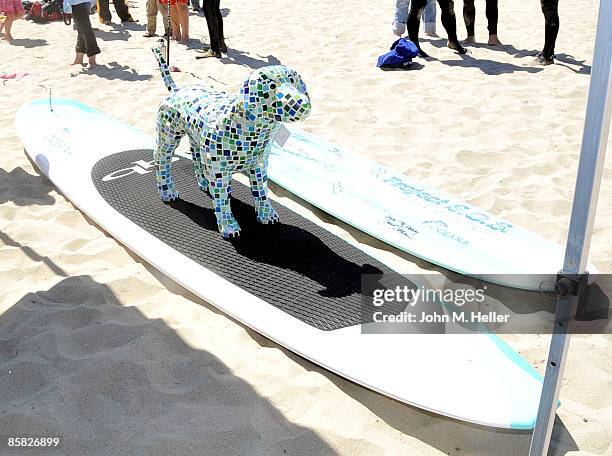 The 2009 "Project Save Our Surf" 1st Annual Surfathon and Oceana Awards at Ocean Park Beach on April 5, 2009 in Santa Monica, California.