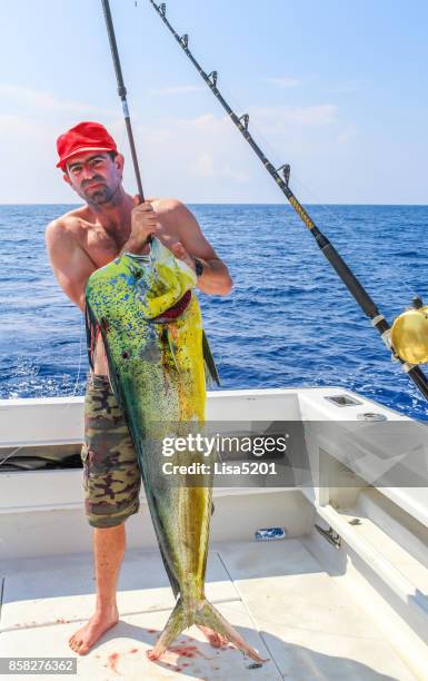 the big catch - dolphin fish imagens e fotografias de stock