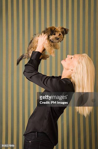 mature woman with puppy - 1 minute 50 stock pictures, royalty-free photos & images