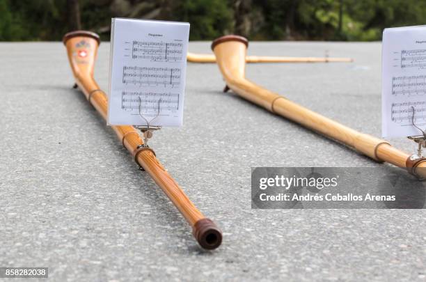 Alphorn Types Alphorn Photos and Premium High Res Pictures - Getty Images