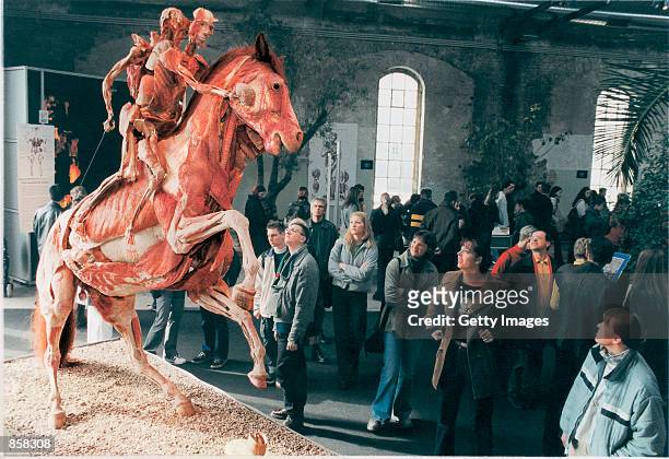 An anatomical specimen created by Professor Gunter Von Hagens is displayed March 20, 2002 at The Atlantis Gallery in the Old Truman Brewery in...