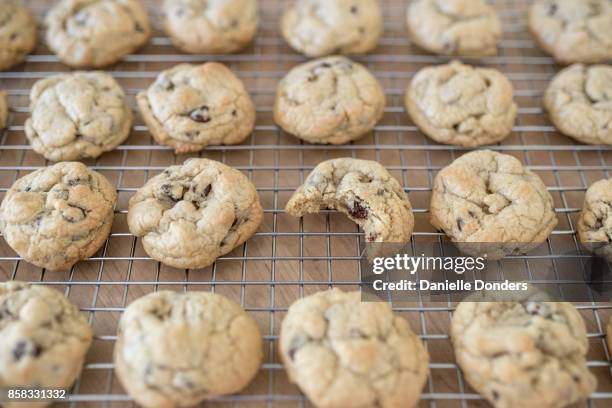 chocolate chip cookies on a wire rack with a bite missing - danielle donders fotografías e imágenes de stock