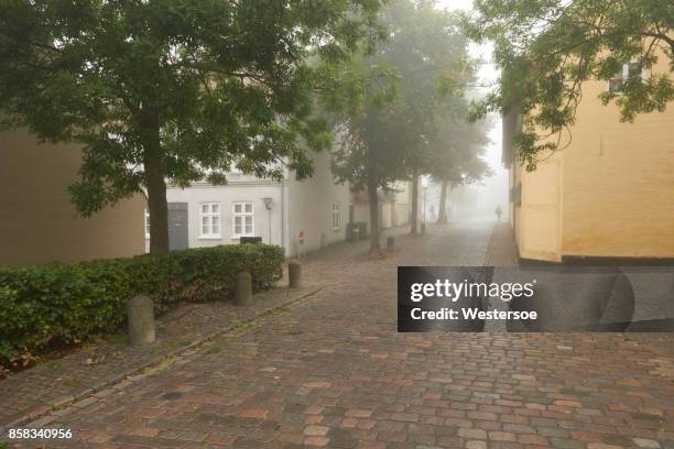 streets in odense a foggy morning in september - odense stock pictures, royalty-free photos & images