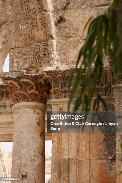 windblown acanthus leaf carvings, st. simeons, syria. - acanthus leaf bildbanksfoton och bilder