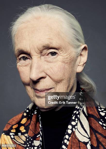 British primatologist, ethologist, anthropologist, and UN Messenger of Peace Jane Goodall of the film 'Jane' poses for a portrait at the 55th New...