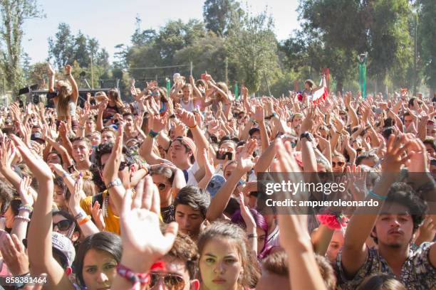 music festival - músico de rock imagens e fotografias de stock
