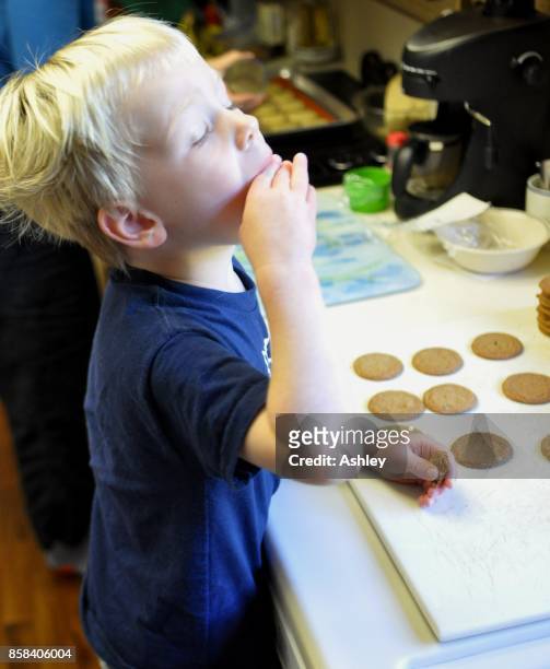 cookie tasting - snickerdoodle stock-fotos und bilder