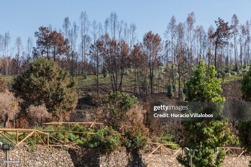 Four Months After The Forest Fire In Pedrogao Grande Victims Are Still Seaking Answers