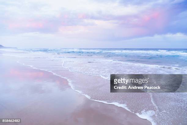 pink and pastel colors at the beach. - powder blue foto e immagini stock