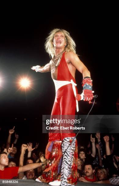 David Lee Roth In His Prime 92 Van Halen 1982 Photos & High Res Pictures - Getty Images