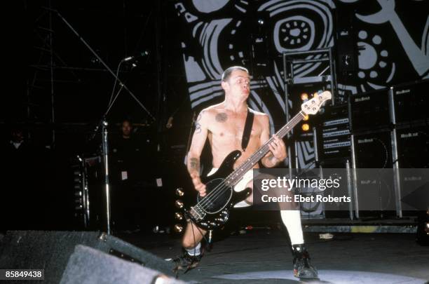 Photo of FLEA and RED HOT CHILI PEPPERS; Flea performing live onstage