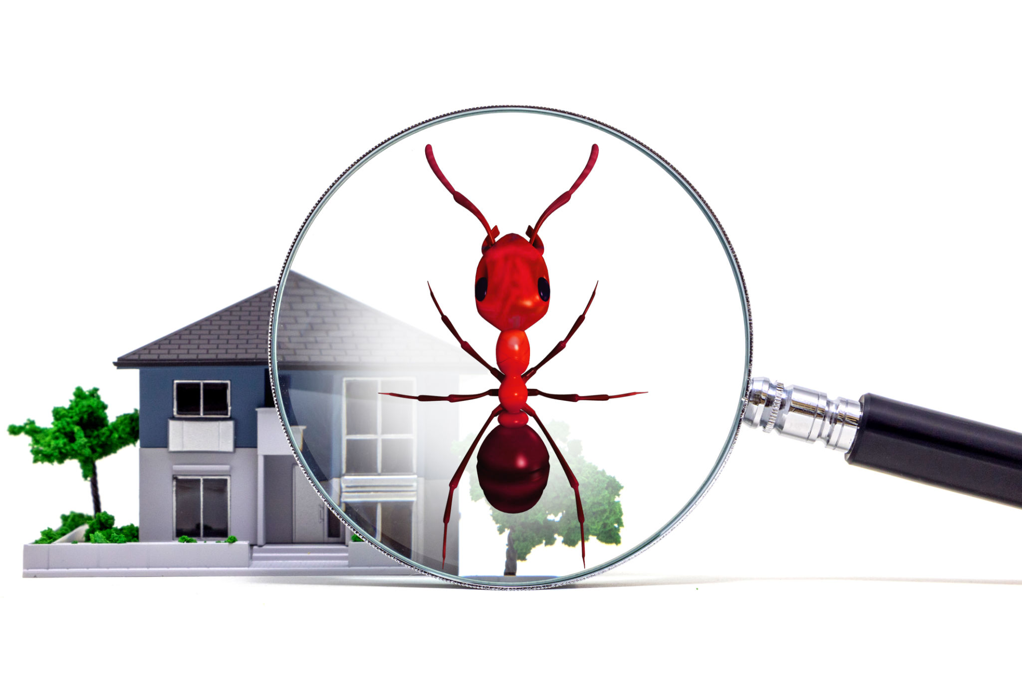 home protected from pests