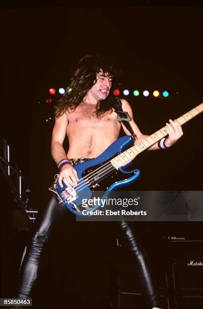 Photo of IRON MAIDEN and Steve HARRIS, Steve Harris performing live onstage