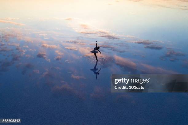 young ballerina dancing on the lake in the evening - art from the shadows stock pictures, royalty-free photos & images