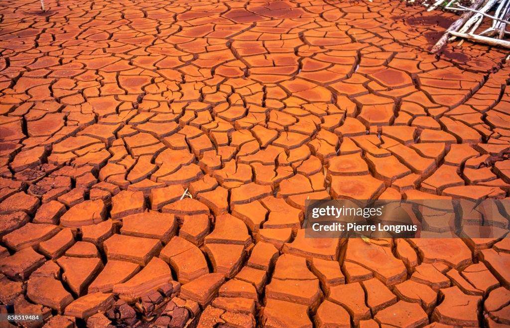 Dry lake bed during a summer drought