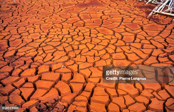 dry lake bed during a summer drought - paris agreement stock pictures, royalty-free photos & images
