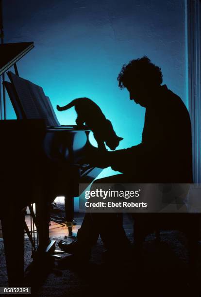 Philip GLASS; Composer Philip Glass at home, playing piano, pet cat, silhouette