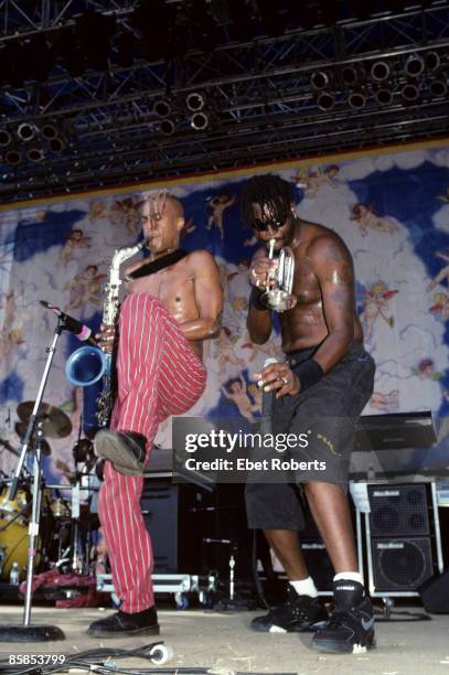 Fishbone Photos and Premium High Res Pictures - Getty Images