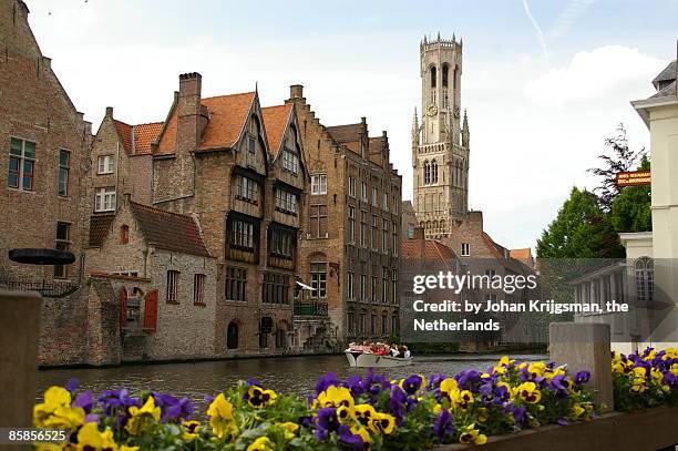 view of the belfort  - bruges stockfoto's en -beelden