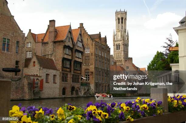 view of the belfort  - bruges buildings stock pictures, royalty-free photos & images