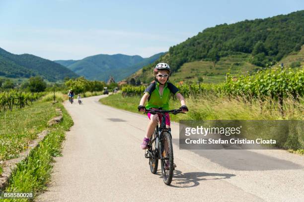 bicycling in wachau wineyards - rossatz stock pictures, royalty-free photos & images