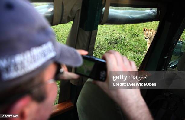 Tourists in a safari jeep watching a lion family with one male, 2 female and about 4 children on March 20, 2009 in Masai Mara National Park Nairobi,...