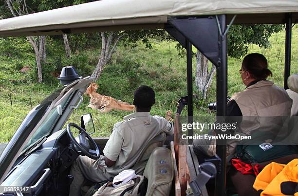 Tourists in a safari jeep watching a lion family with one male, 2 female and about 4 children on March 20, 2009 in Masai Mara National Park Nairobi,...