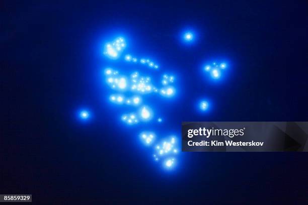 unified clusters of electric blue glowing lights  - westerskov stock pictures, royalty-free photos & images