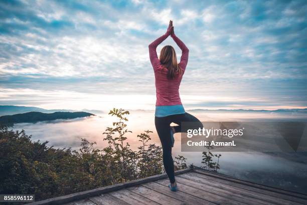 yoga dans la nature - salutation au soleil photos et images de collection