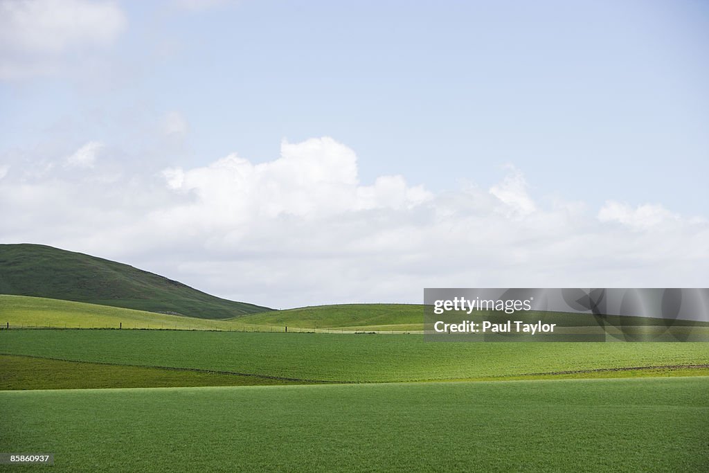 Green fields and hills
