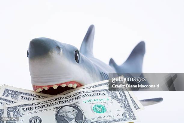 a toy shark holding u.s. dollar bills - plastikhai stock-fotos und bilder