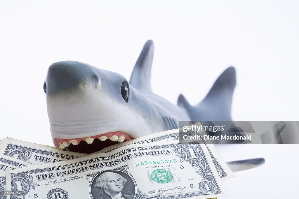 A toy shark holding U.S. dollar bills