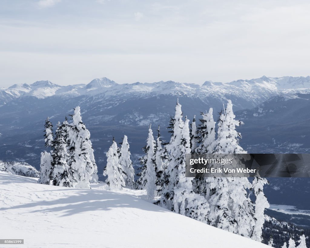 Arctic Landscapes