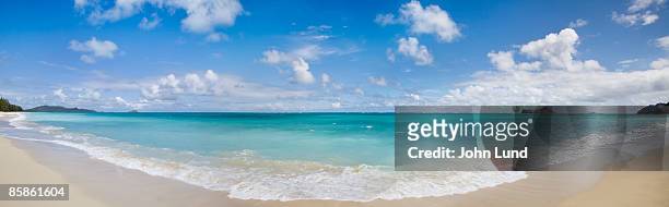 panorama of a tropical beach - 凱盧阿 個照片及圖片檔