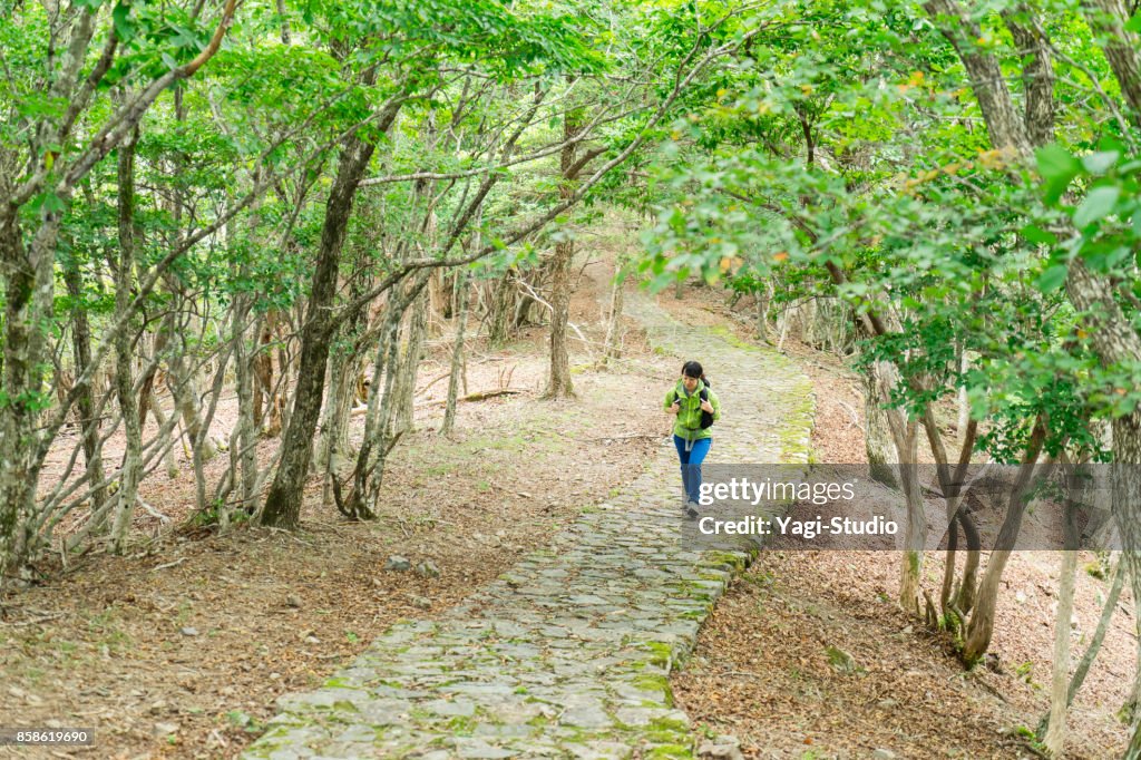 Alpinista de mulher asiática caminhando na trilha na natureza.