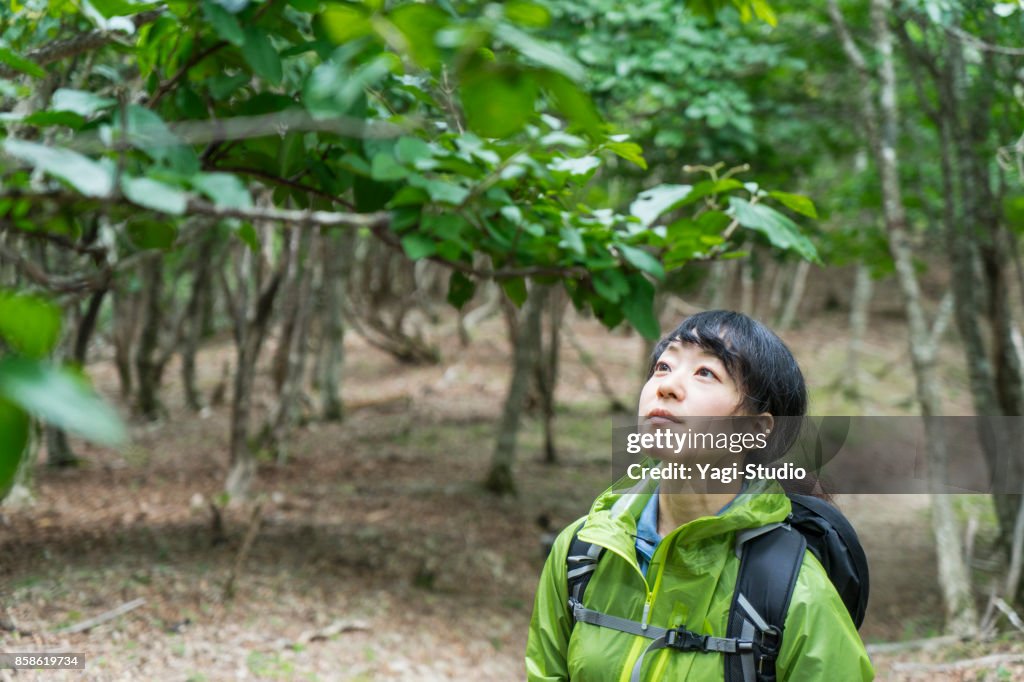 Asiatische Frau Wanderer zu Fuß unterwegs in der Natur.