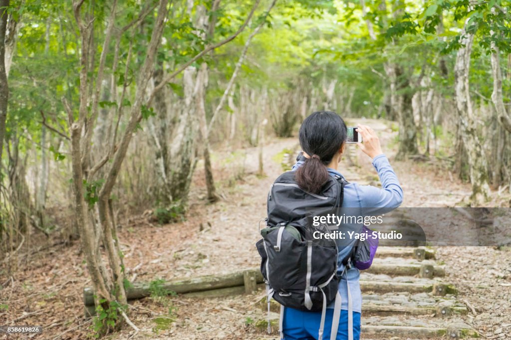 Alpinista de mulher asiática caminhando na trilha na natureza.