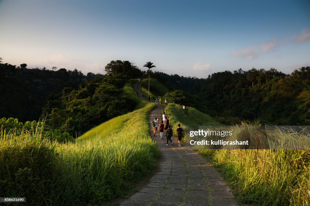 Campuhan Ridge Walk, Ubud, Bali, Indonesia