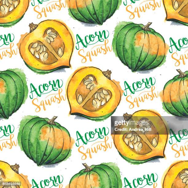 acorn squash watercolor vector seamless pattern with "acorn squash" calligraphic text - winter squash stock illustrations