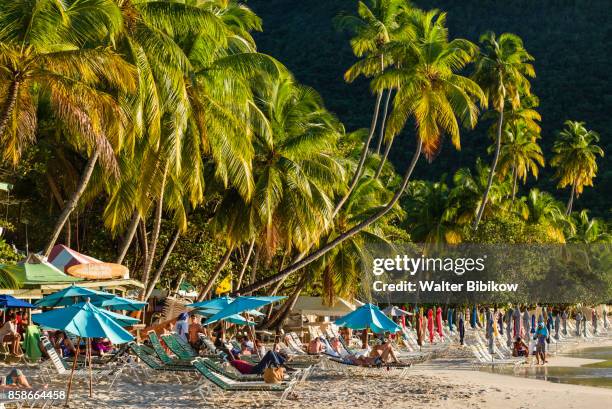 british virgin islands, tortola, exterior - cane garden bay foto e immagini stock