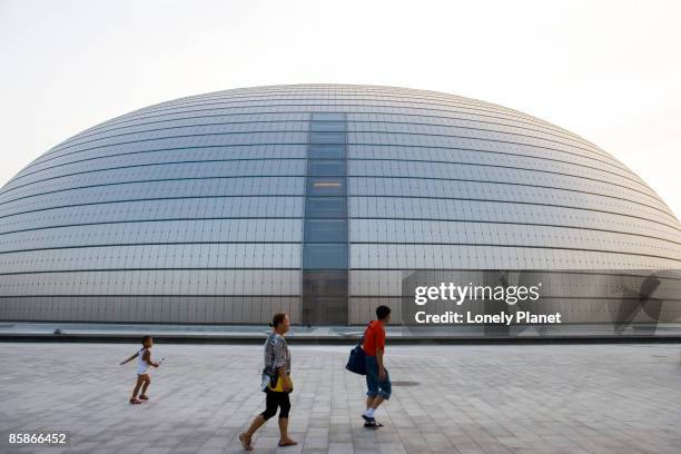 grand national theatre. - grande teatro nacional de pequim imagens e fotografias de stock