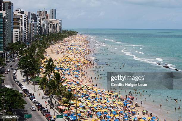 crowded sunday afternoon beach. - recife estado de pernambuco - fotografias e filmes do acervo
