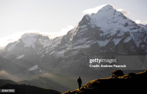 person enjoying a dawn hike above grindelwald with the wetterhorn mountain in the distance. - grindelwald stock pictures, royalty-free photos & images