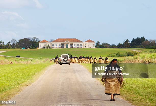 paying tribute to the new king of tonga. - nukualofa fotografías e imágenes de stock