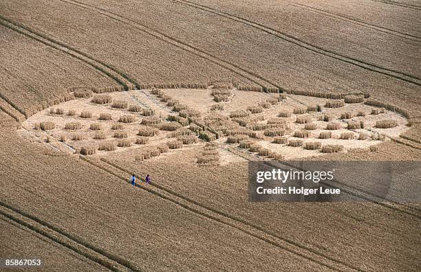 aerial of crop circle. - graancirkel stockfoto's en -beelden