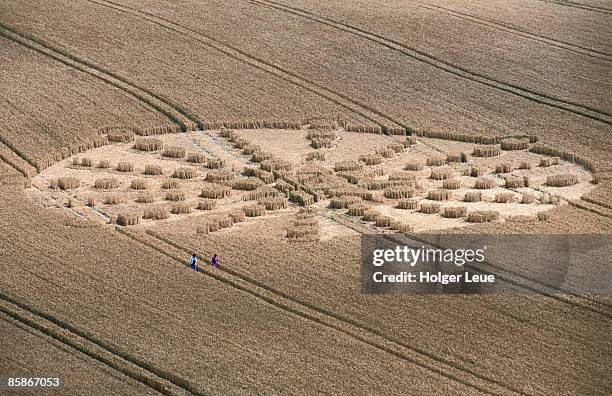 aerial of crop circle. - círculo nas plantações - fotografias e filmes do acervo