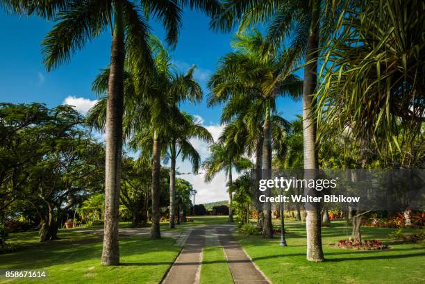 st. kitts and nevis, nevis, exterior - névis imagens e fotografias de stock