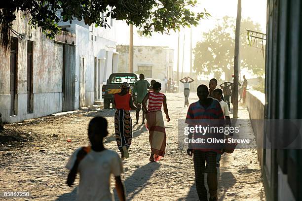 tree lined streets of ilha de mozambique - african village stock-fotos und bilder