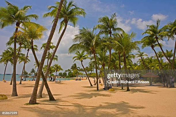 siliso beach on sentosa island. - sentosa island singapore stock pictures, royalty-free photos & images